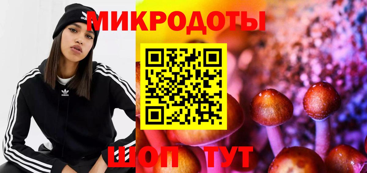 Псилоцибиновые грибы GOLDEN TEACHER  купить  сайты  Шелехов  Вход с VPN 
